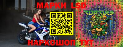 индика Мариинск