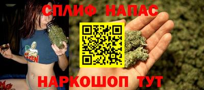 мяу мяу мука Малгобек