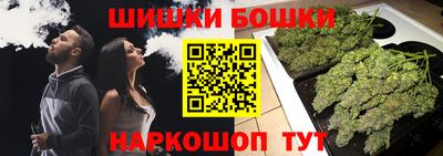индика Мариинск