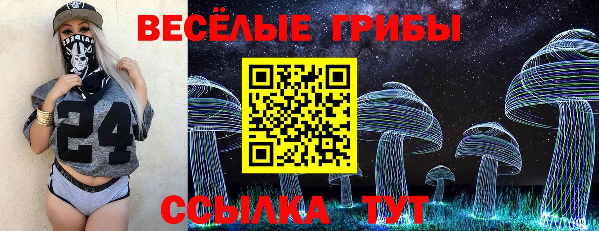 Псилоцибиновые грибы Psilocybine cubensis  Псилоцибиновые грибы ЛСД  Вход с VPN  Великий Новгород 