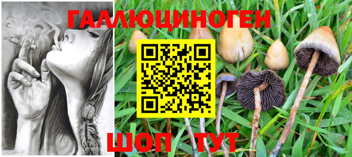 Галлюциногенные грибы Magic Shrooms Великий Новгород